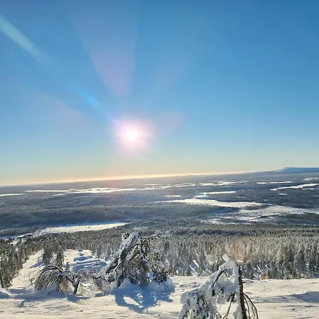 Naava- Pine Log On Utsuvaara Fell In Levi * Киттиля